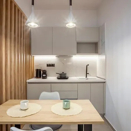 Appartement Fsn Lofts 303 /2bed / 5p Thessalonique